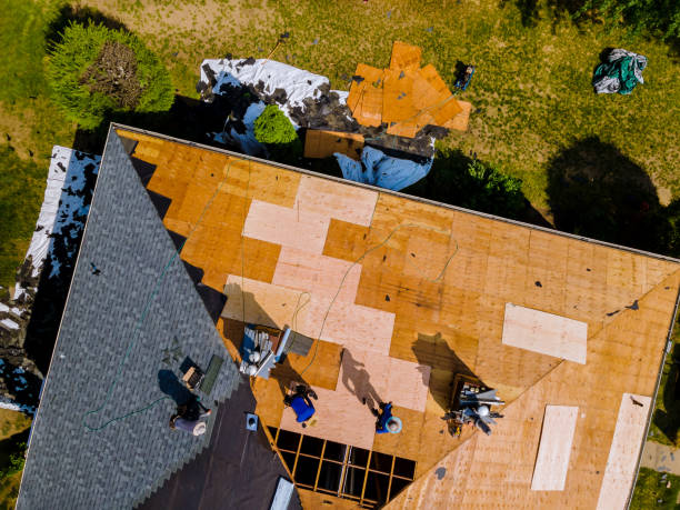 Best Commercial Roofing Services  in Pender, NE